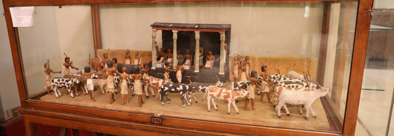 Detailed ancient Egyptian wall relief depicting cattle and daily life in a Pharaonic tomb.
