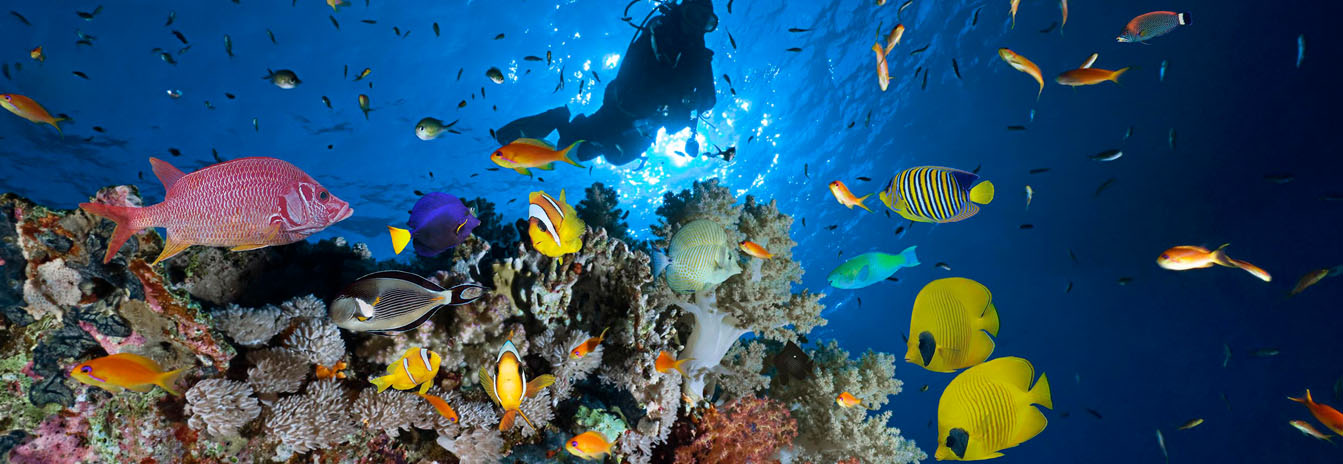 Turquoise waters and luxury resorts along the coast of Sharm El-Sheikh, Red Sea.