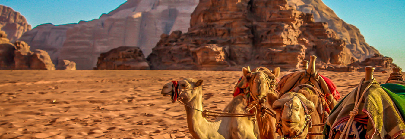 Jordan Desert Wadi Rum Red Sand Dunes - 5 Days Highlights Tour