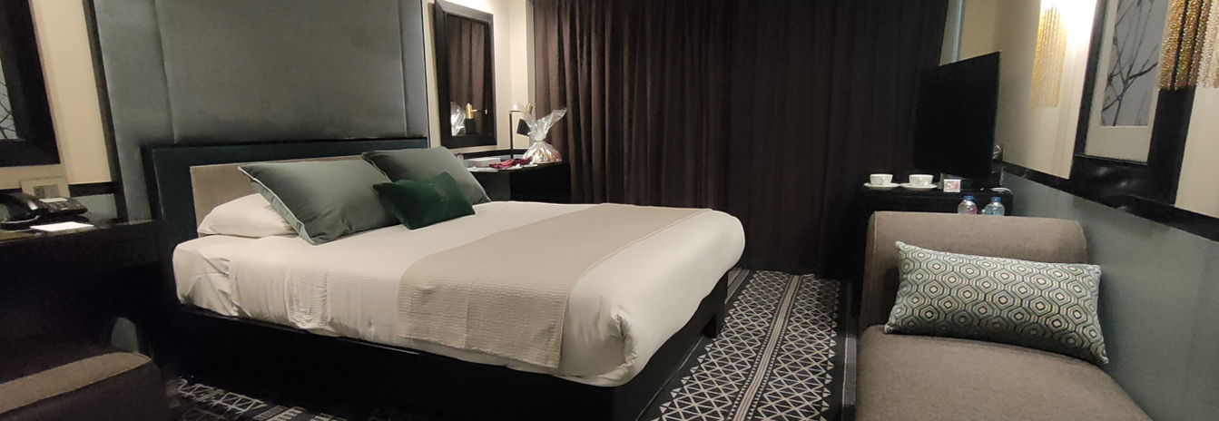 A well-appointed guest cabin on the MS Hamees featuring modern amenities and large windows.